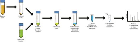 Sample Preparation 